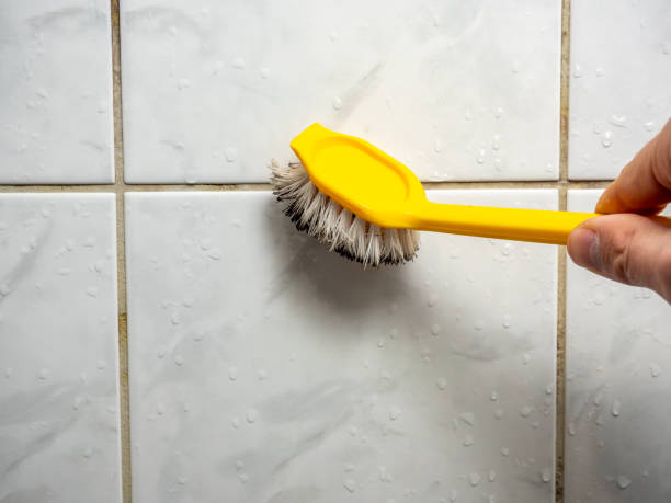Best Professional Mold Removal  in Grove Hill, AL