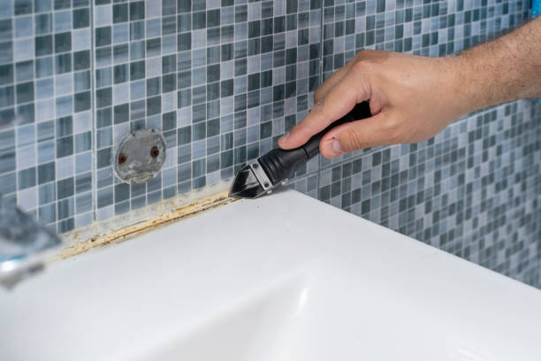 Best Same-Day Mold Removal  in Grove Hill, AL