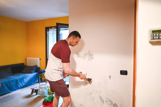 Best Black Mold Removal  in Grove Hill, AL